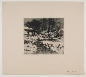 Winter Stream by a Forest