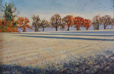 Frost on the Field