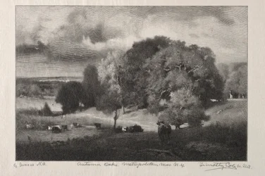 Autumn Oaks