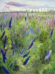 Delphiniums and Emerging Sun