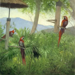 Mountain Birds, 2001