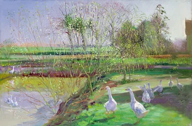 Willow and Geese