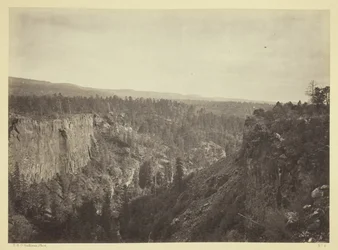 North Fork Canyon, Sierra Blanca Creek, Arizona
