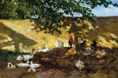 Ducks and Chickens in a Farmyard