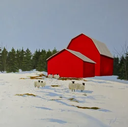Sheep in the Snow