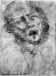 Head of a Moor