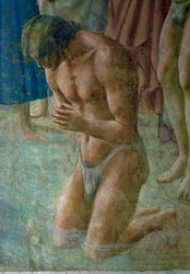 The Neophyte