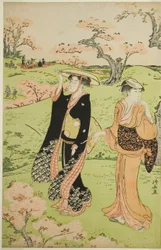 Cherry Blossom Viewing at Asuka Hill