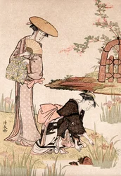 The Iris Garden, c. 1775-1815