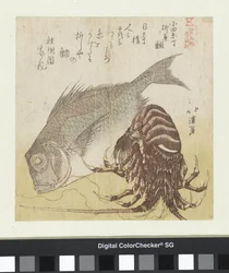 The Sea Bass of Yanagiya in Odawaracho