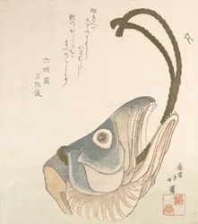 Head of a Salmon