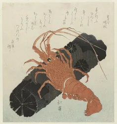 Lobster with Charcoal