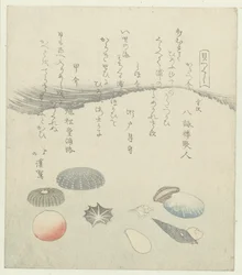 Round Red and Blue Shell with Smaller Shells