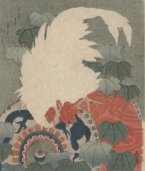Rooster on a Drum