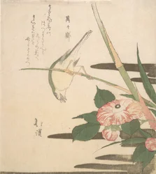 Warbler and Camellia