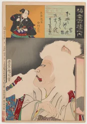 Cat of Okazaki