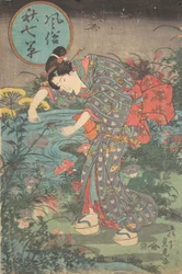 Fashionable Seven Autumn Plants Fuzoku aki nanakusa
