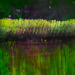 Marsh- Nocturne