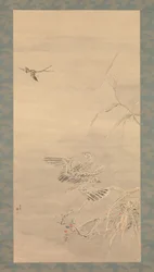 Hawk Grasping a Small Bird