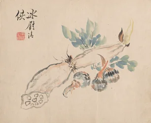 Lotus Root and Adders Tongue