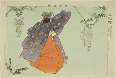 Fuji, from the Series "Pictures of No Performances"