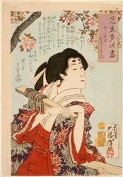 I Want to Show You the Cherry Blossoms in Full Bloom