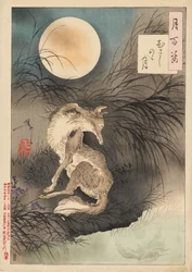 Musashi Plain Moon