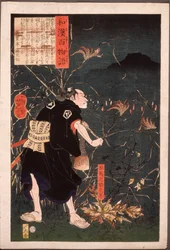Samanosuke Mitsutoshi with Fox Fires