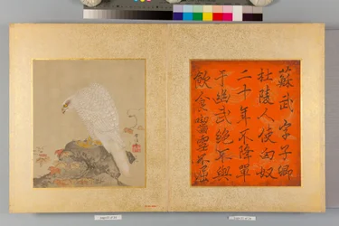 Album of Hawks and Calligraphy
