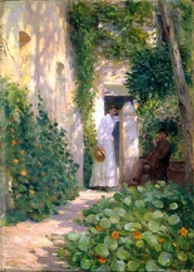 Nasturtiums
