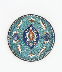 Dish