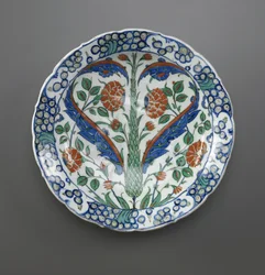 Dish