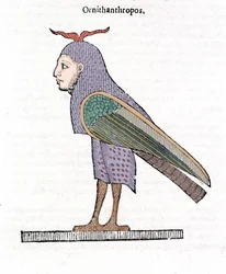 Ornithantropos. Bird with Human Head. Ulisse Aldrovandi “De Monstrorum Historia”