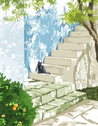 Black Cat Sunny Steps