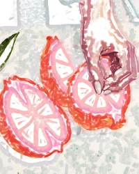 Hand and Pink Citrus