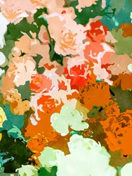Vibrant Garden Blooms