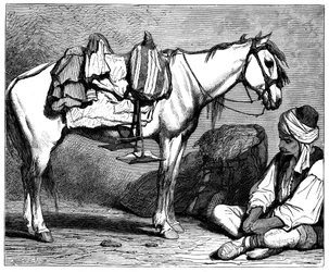 A Bosnian Peasant