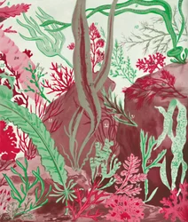 A Collection of Over Fifty Species of Red, Green and Brown Seaweeds