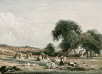A Harvest Scene