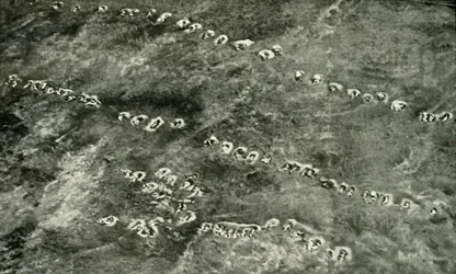 A Infantry Attack Across No Mans Land