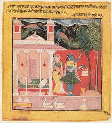 A Lady Plucking Flowers with Peacocks, Gunakali Ragini of Malkos, from the Chawand Ragamala, 1605