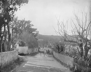 A Road in Port Royal, Bermuda