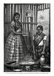 A Rural Kitchen in the Tierras Calientes, Mexico, 1877