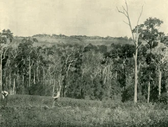 A Victorian Mountain Farm