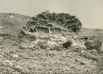 A Weathered Kenyte Boulder Near the Winter Quarters