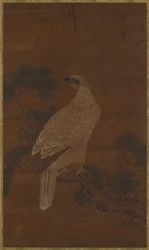 A White eagle on a pine branch