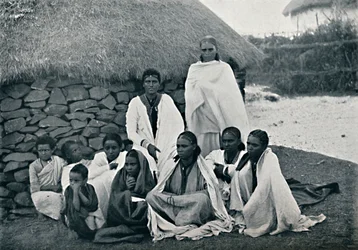 A Group of Abyssinians