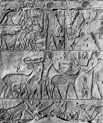 A Hunting Scene from the Tomb of Ptahhotep, Near Saqqara, Egypt, c2650 BC