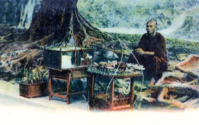 A man selling fruit under a tree, Hong Kong, China, c1900s