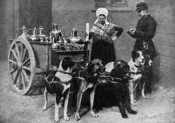 A Milkwoman with a Government Inspector, Belgium